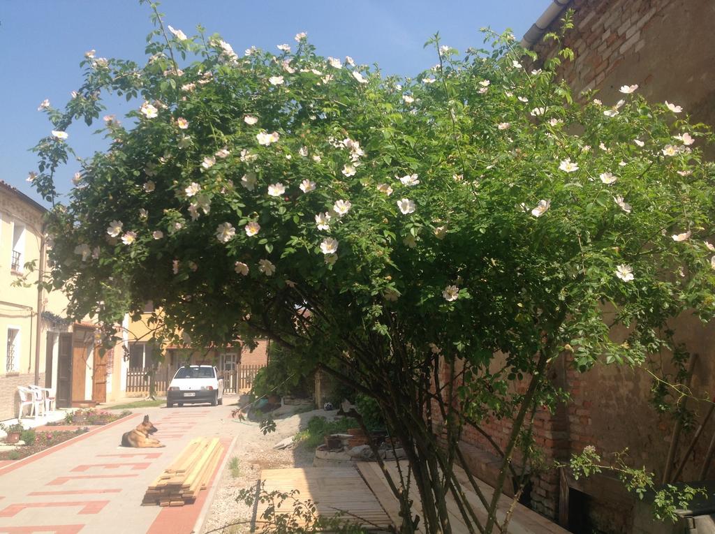 B&B Ciliegio Felice Molinella Ngoại thất bức ảnh